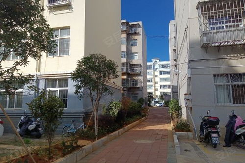 曲靖燃料廠一生活區居住體驗與周邊房產市場觀察